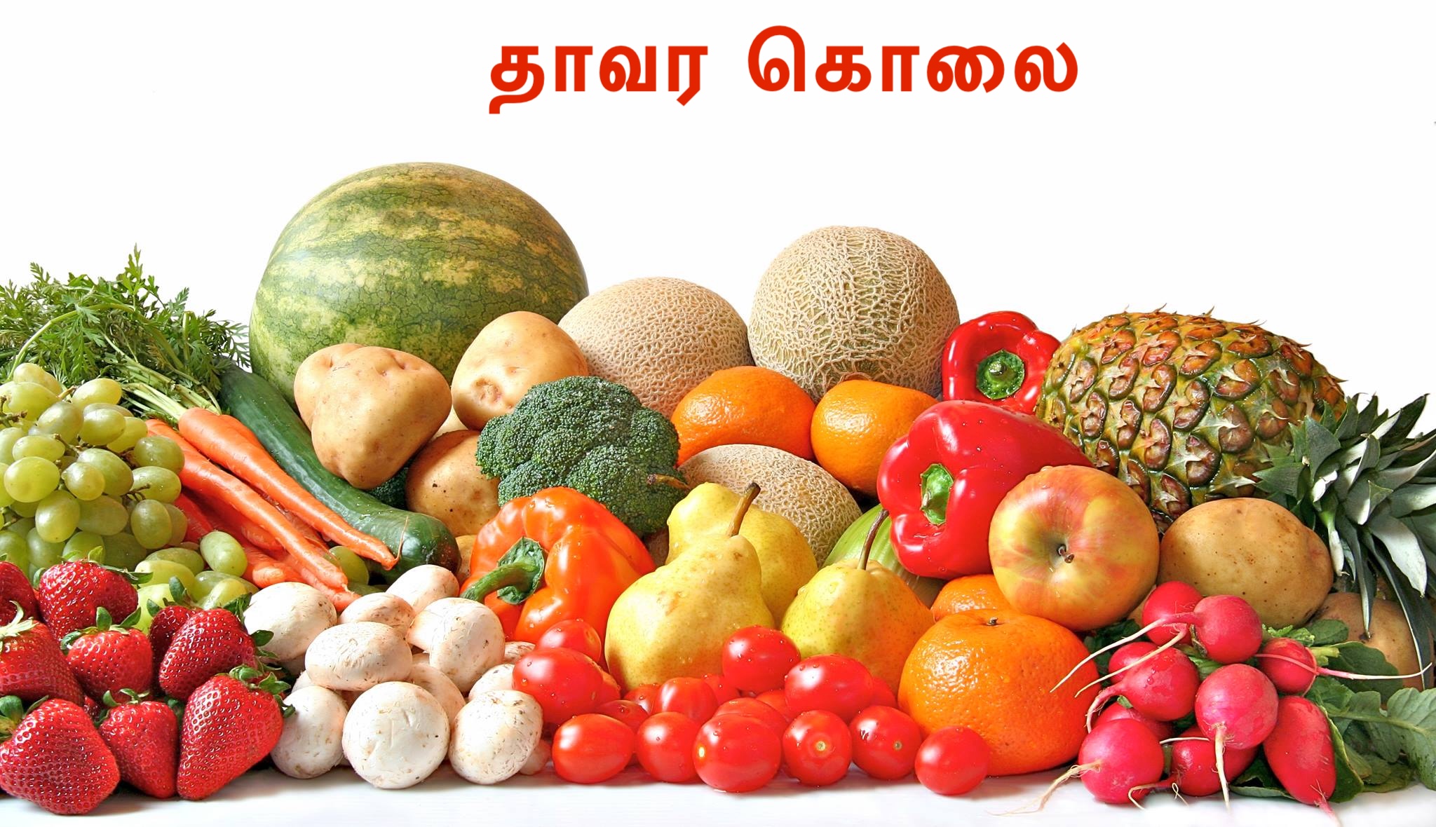 தாவர கொலை Plant Murder