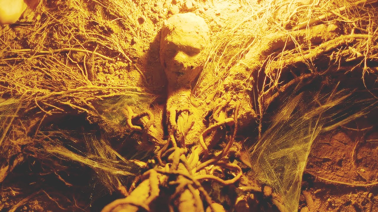 விநாயக் பாட்டி